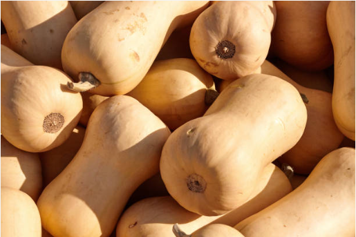Butternut