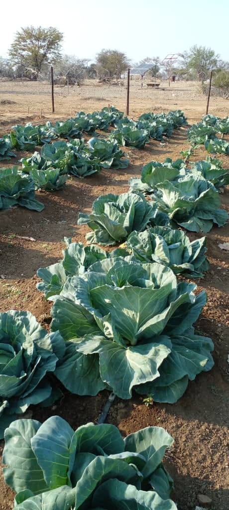 Horticulture