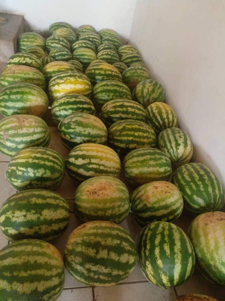 Watermelons