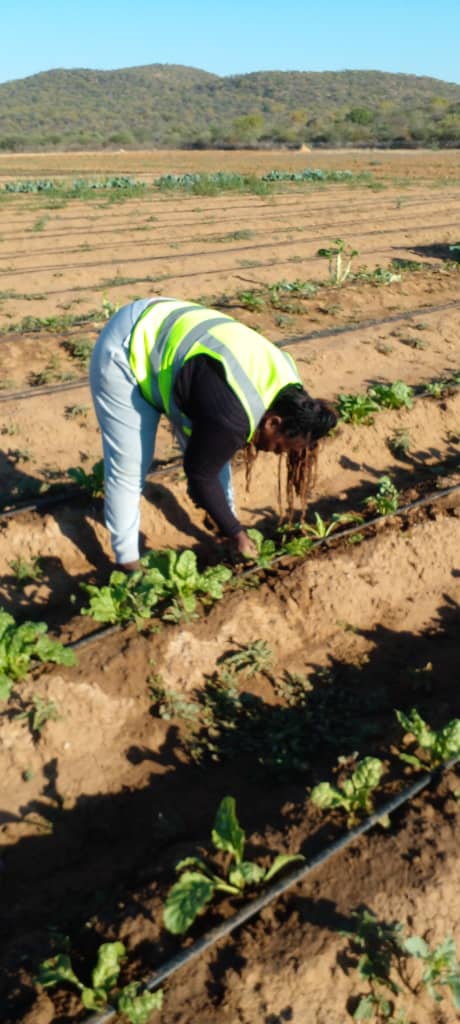 Responsible farming