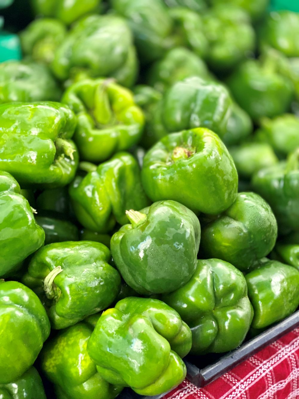 Green Pepper